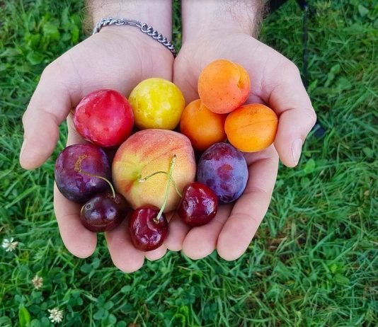 Desinflama tus músculos después de correr de forma natural